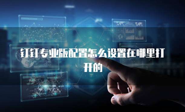 钉钉专业版配置怎么设置在哪里打开的