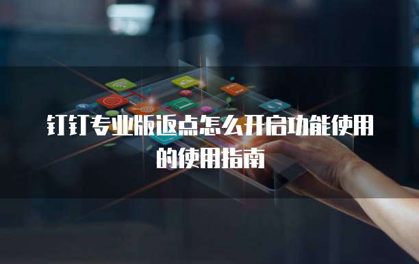 钉钉专业版返点怎么开启功能使用的使用指南