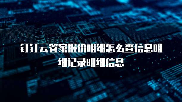 钉钉云管家报价明细怎么查信息明细记录明细信息
