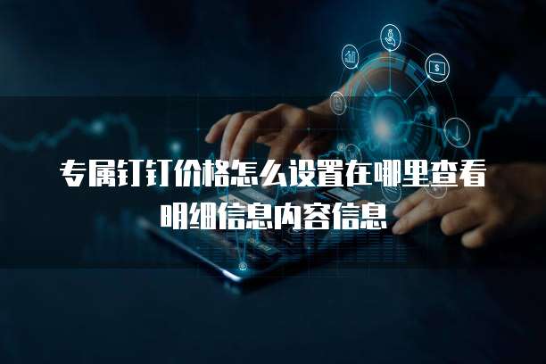 专属钉钉价格怎么设置在哪里查看明细信息内容信息