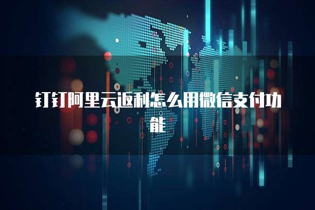 钉钉阿里云返利怎么用微信支付功能