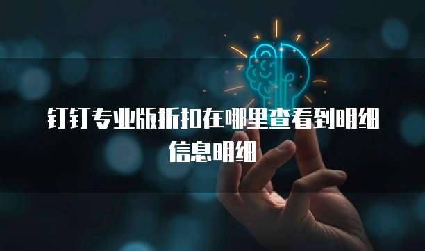 钉钉专业版折扣在哪里查看到明细信息明细