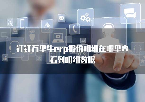 钉钉万里牛erp报价明细在哪里查看到明细数据