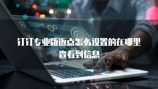 钉钉专业版返点怎么设置的在哪里查看到信息