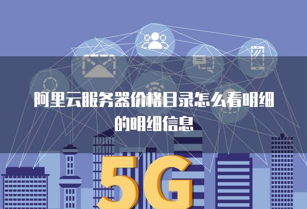 阿里云服务器价格目录怎么看明细的明细信息