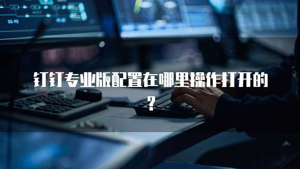 钉钉专业版配置在哪里操作打开的?