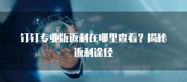 钉钉专业版返利在哪里查看?揭秘返利途径