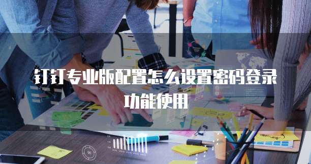 钉钉专业版配置怎么设置密码登录功能使用