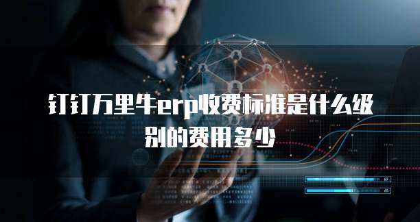 钉钉万里牛erp收费标准是什么级别的费用多少
