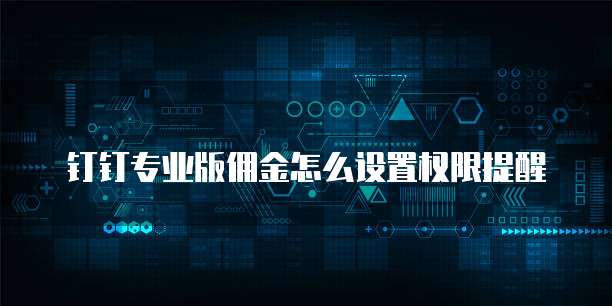 钉钉专业版佣金怎么设置权限提醒