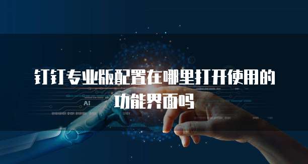 钉钉专业版配置在哪里打开使用的功能界面吗