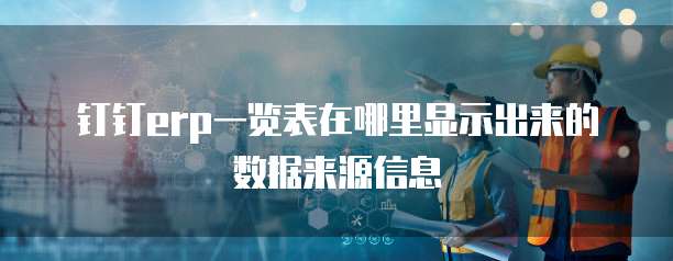 钉钉erp一览表在哪里显示出来的数据来源信息
