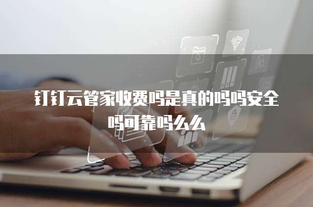 钉钉云管家收费吗是真的吗吗安全吗可靠吗么么