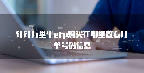 钉钉万里牛erp购买在哪里查看订单号码信息
