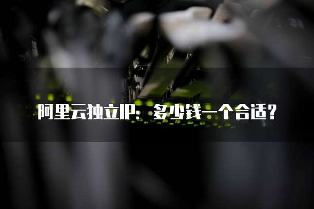 阿里云独立IP：多少钱一个合适？