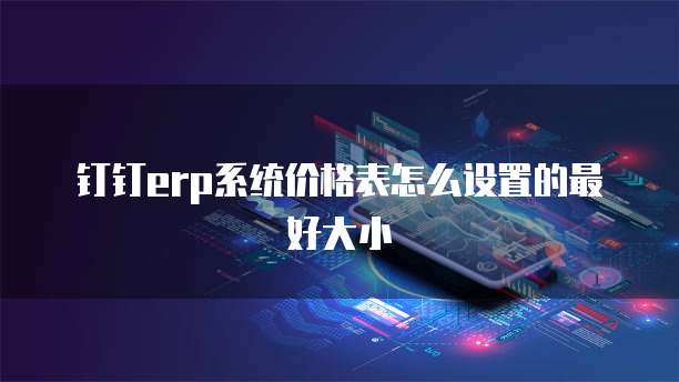 钉钉erp系统价格表怎么设置的最好大小