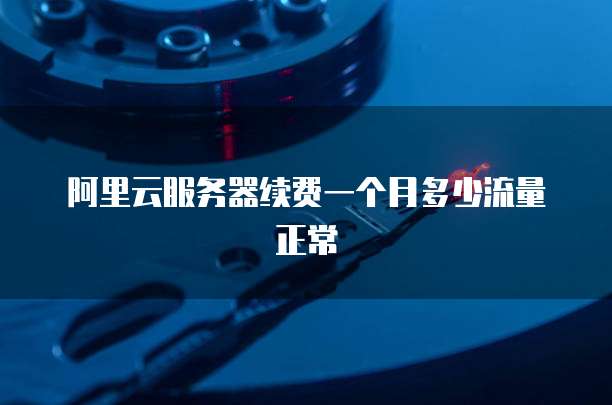 阿里云服务器续费一个月多少流量正常