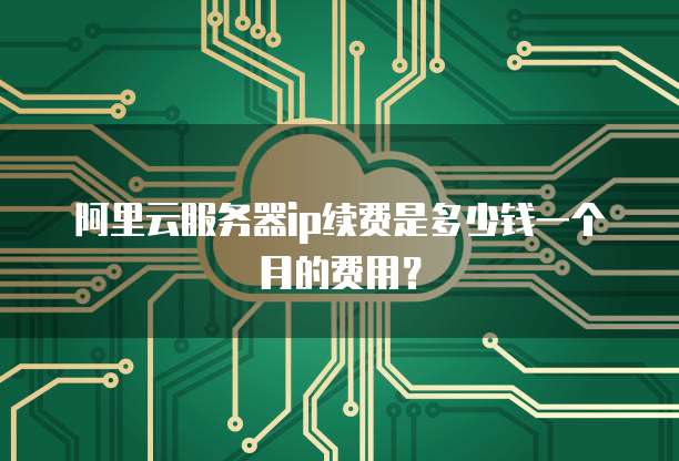 阿里云服务器ip续费是多少钱一个月的费用?
