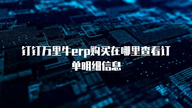 钉钉万里牛erp购买在哪里查看订单明细信息