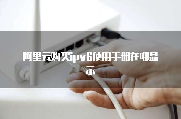 阿里云购买ipv6使用手册在哪显示
