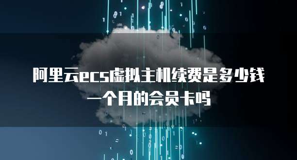 阿里云ecs虚拟主机续费是多少钱一个月的会员卡吗