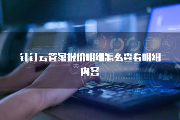 钉钉云管家报价明细怎么查看明细内容