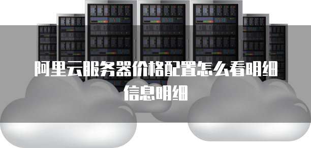 阿里云服务器价格配置怎么看明细信息明细