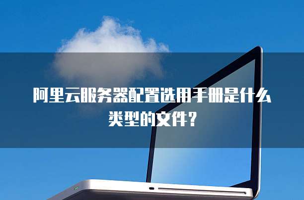 阿里云服务器配置选用手册是什么类型的文件?