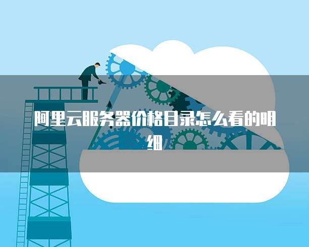 阿里云服务器价格目录怎么看的明细