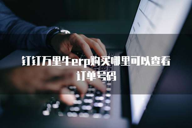 钉钉万里牛erp购买哪里可以查看订单号码