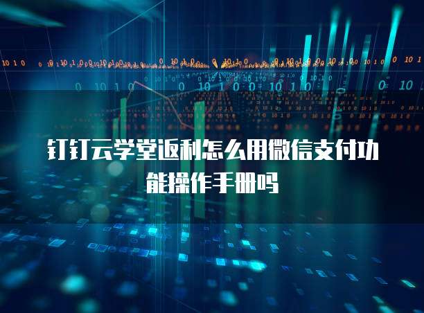 钉钉云学堂返利怎么用微信支付功能操作手册吗