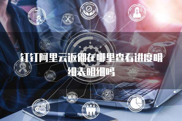 钉钉阿里云返佣在哪里查看进度明细表明细吗