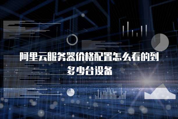 阿里云服务器价格配置怎么看的到多少台设备