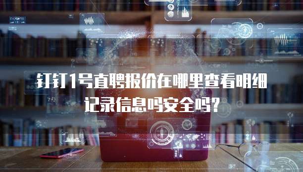 钉钉1号直聘报价在哪里查看明细记录信息吗安全吗?