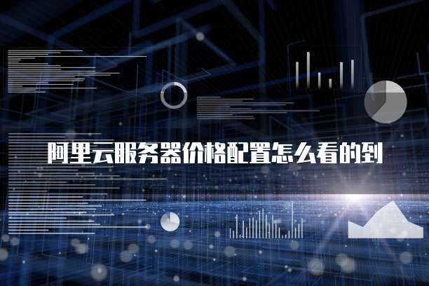 阿里云服务器价格配置怎么看的到