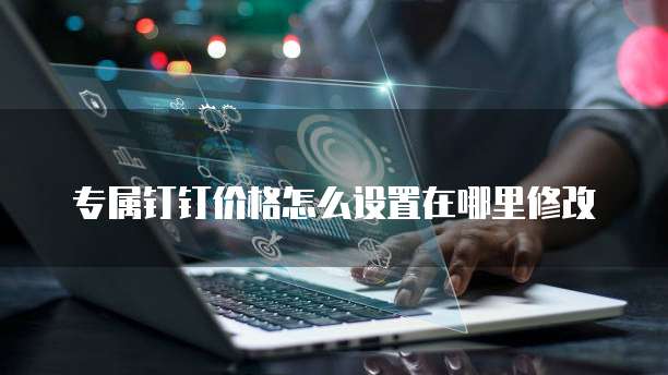 专属钉钉价格怎么设置在哪里修改