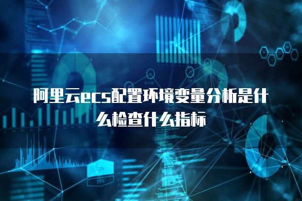 阿里云ecs配置环境变量分析是什么检查什么指标