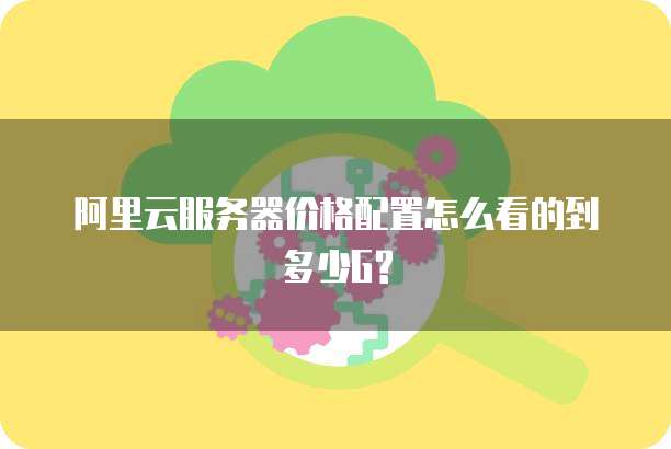 阿里云服务器价格配置怎么看的到多少G?