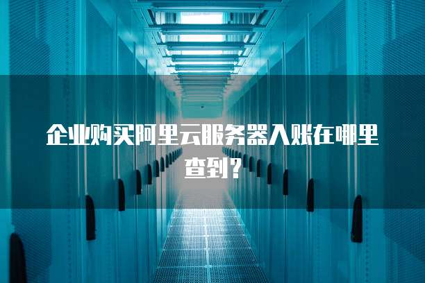 企业购买阿里云服务器入账在哪里查到?