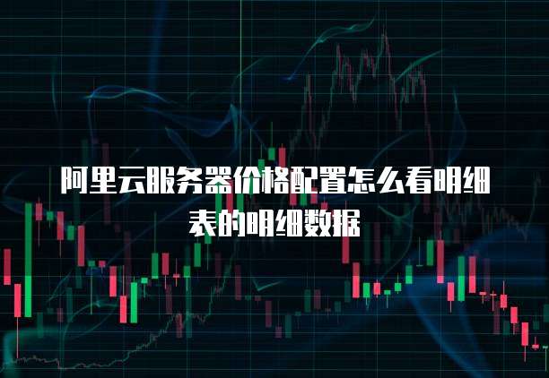 阿里云服务器价格配置怎么看明细表的明细数据