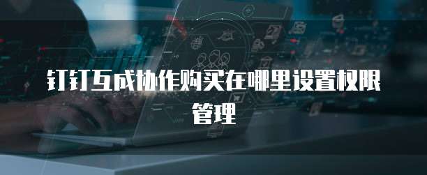 钉钉互成协作购买在哪里设置权限管理