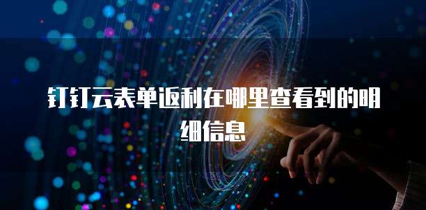 钉钉云表单返利在哪里查看到的明细信息