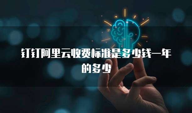 钉钉阿里云收费标准是多少钱一年的多少