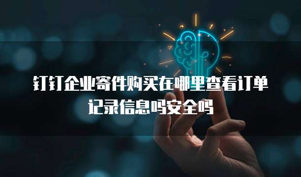 钉钉企业寄件购买在哪里查看订单记录信息吗安全吗