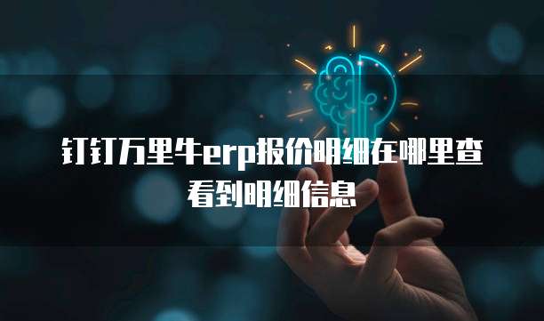 钉钉万里牛erp报价明细在哪里查看到明细信息