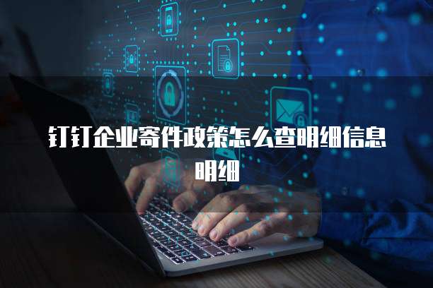 钉钉企业寄件政策怎么查明细信息明细
