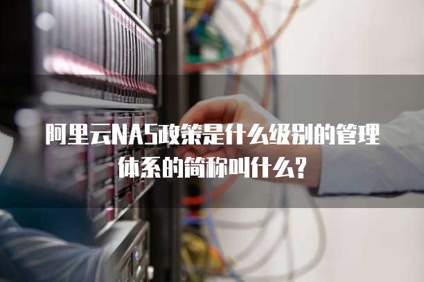 阿里云NAS政策是什么级别的管理体系的简称叫什么?