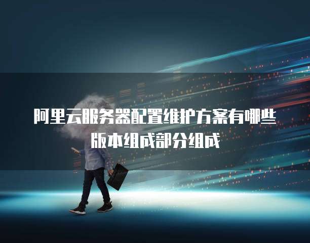 阿里云服务器配置维护方案有哪些版本组成部分组成