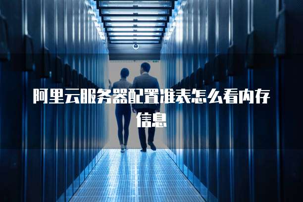 阿里云服务器配置准表怎么看内存信息