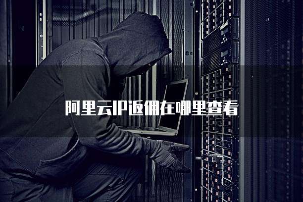 阿里云IP返佣在哪里查看